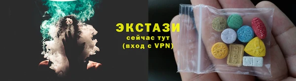 прущие грибы Новозыбков